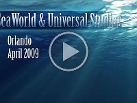 Orlando 04-18-09